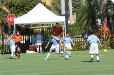 Enlarge photo 17
