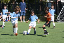 Enlarge photo 20