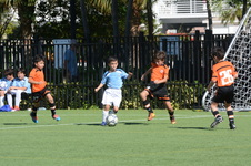 Enlarge photo 22