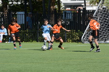 Enlarge photo 24
