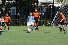 Enlarge photo 25