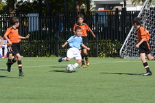 Enlarge photo 26