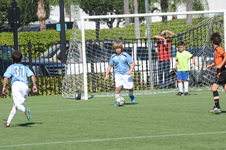 Enlarge photo 30