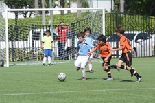 Enlarge photo 37