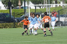 Enlarge photo 38