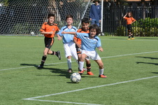 Enlarge photo 41