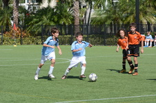 Enlarge photo 43