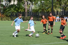 Enlarge photo 44