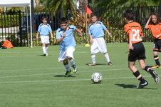 Enlarge photo 46
