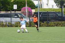 Enlarge photo 47