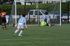 Enlarge photo 49