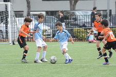 Enlarge photo 58