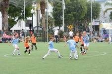 Enlarge photo 65