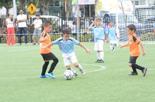 Enlarge photo 70