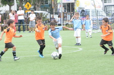 Enlarge photo 71