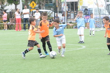 Enlarge photo 72