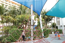Enlarge photo 76