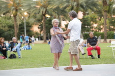 Enlarge photo 84
