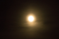 Enlarge photo 42