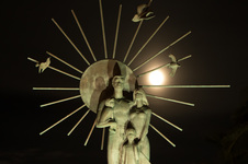 Enlarge photo 49