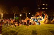 Enlarge photo 122
