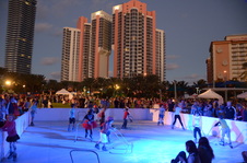 Winter Fest 2014