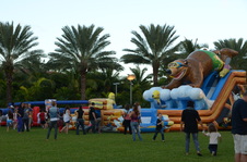 Enlarge photo 150
