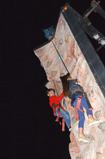 Enlarge photo 73
