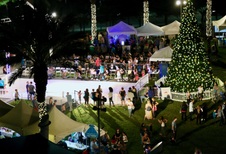 Enlarge photo 59