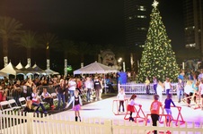 Enlarge photo 83
