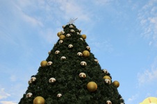 Enlarge photo 7