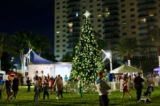 Enlarge photo 44