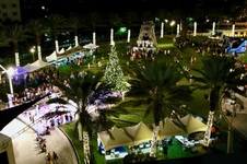 Enlarge photo 57