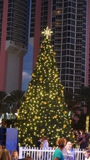Enlarge photo 115