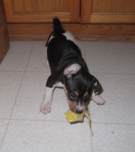 Enlarge photo 12
