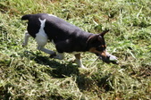 Enlarge photo 3
