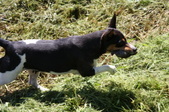 Enlarge photo 2