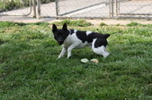 Enlarge photo 5