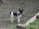 Enlarge photo 12