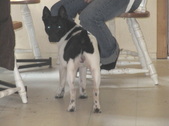Enlarge photo 11
