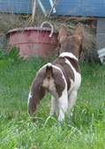 Enlarge photo 3