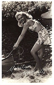 Enlarge photo 193