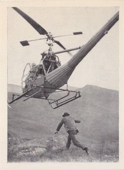Enlarge photo 89