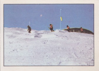 Enlarge photo 252