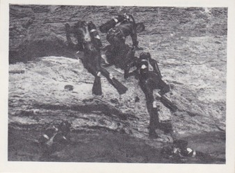 Enlarge photo 186