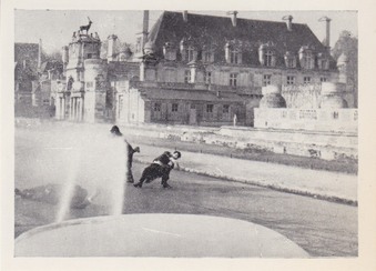 Enlarge photo 180