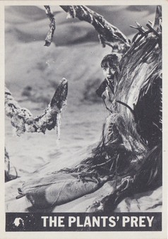 Enlarge photo 39