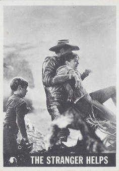 Enlarge photo 45