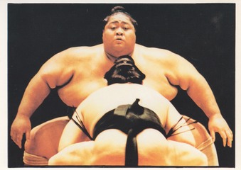 2018-2022 Sumo postcard collection