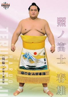 Enlarge photo 42